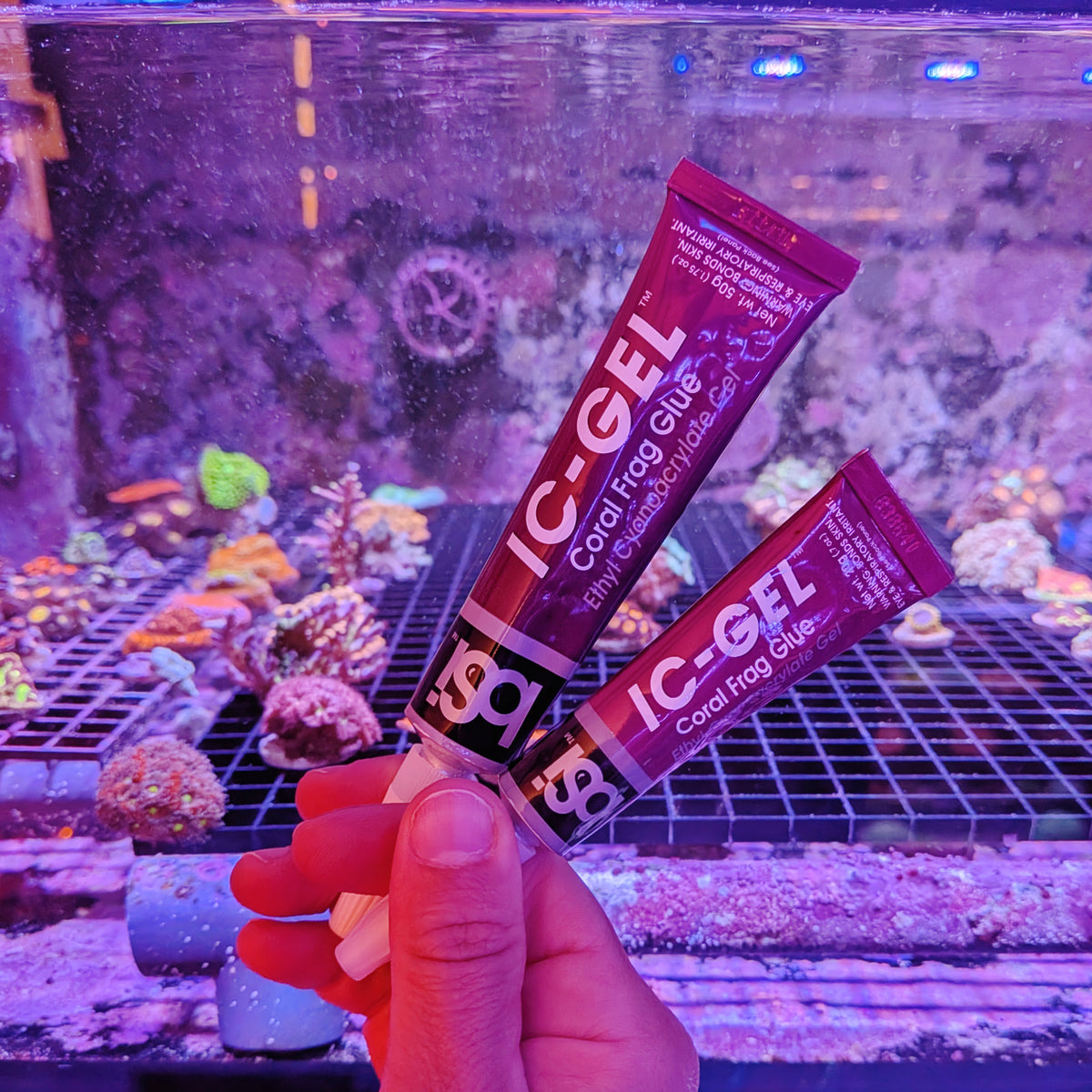 Korallenkleber Gel
