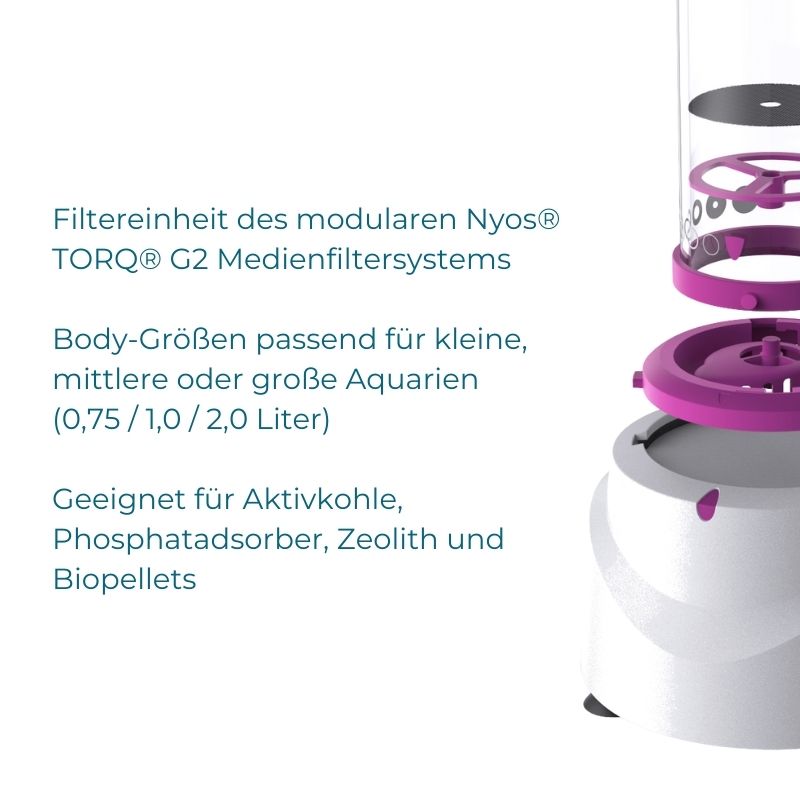 Nyos TORQ Body G2