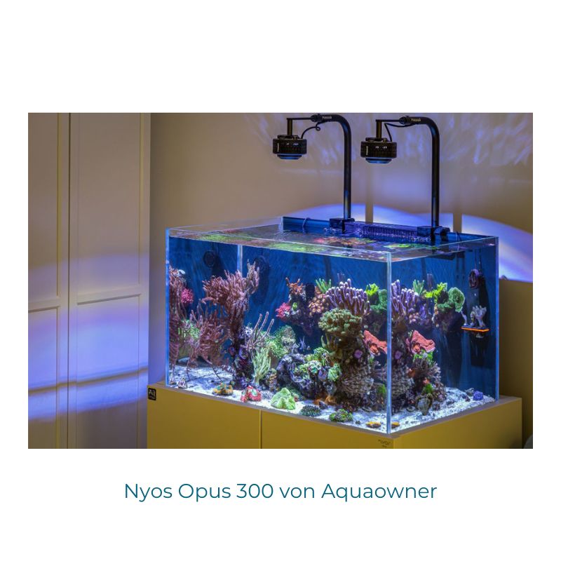 Nyos Opus G2