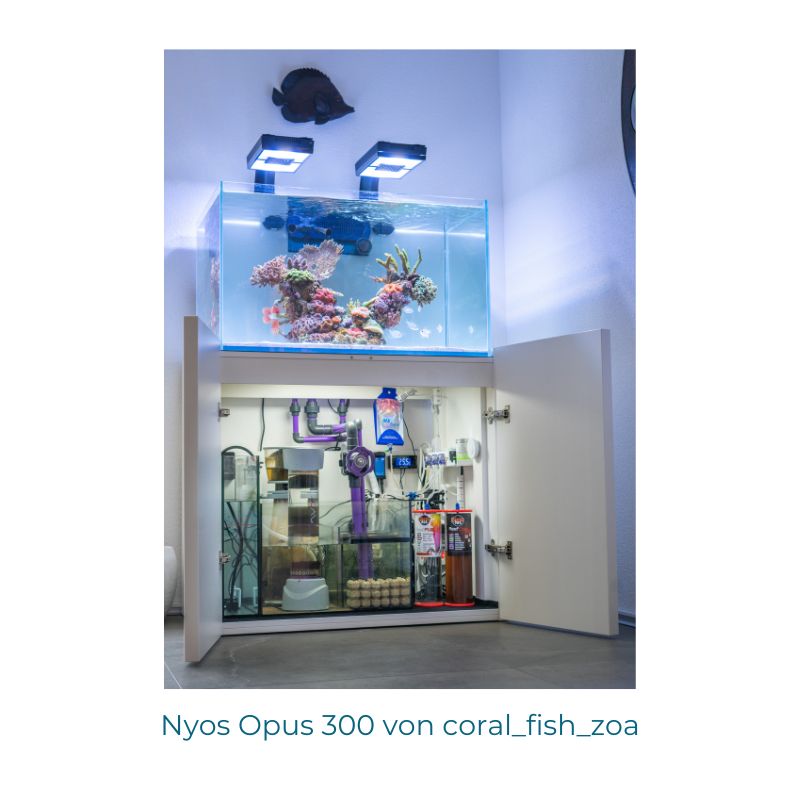 Nyos Opus G2