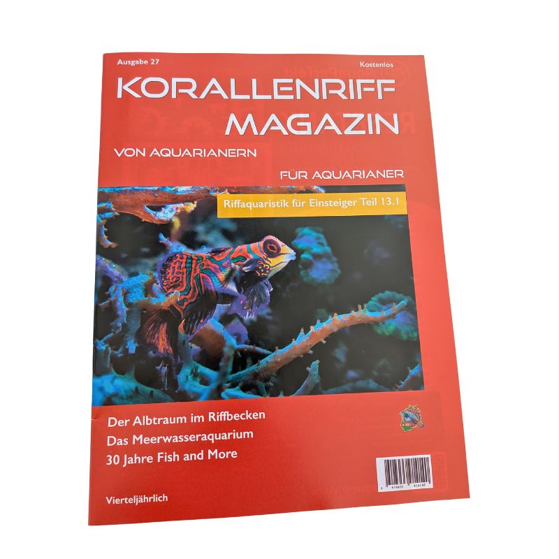 Korallenriff Magazin